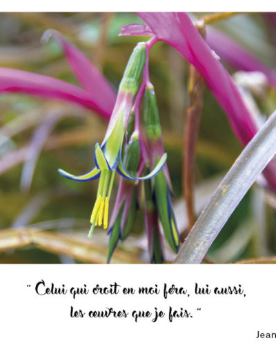 “Celui qui croit en moi fera, lui aussi, les œuvres que je fais.” Jean 14, 12