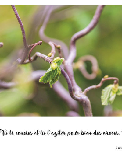 “Tu te soucies et tu t'agites pour bien des choses.” Luc 10, 41