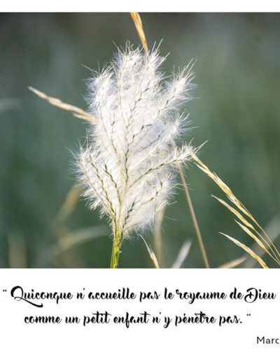 “Quiconque n'accueille pas le royaume de Dieu comme un petit enfant n'y pénètre pas.” Marc 10, 15