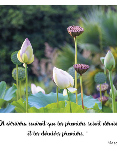 “Il arrivera souvent que les premiers soient derniers et les derniers premiers.” Marc 10, 31