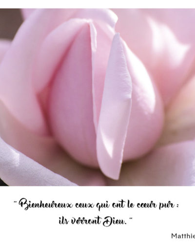 “Bienheureux ceux qui ont le cœur pur : ils verront Dieu.” Matthieu 5, 8