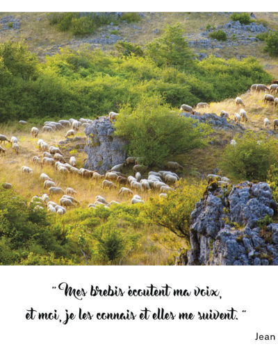 “Mes brebis écoutent ma voix, et moi, je les connais et elles me suivent.” Jean 10, 27