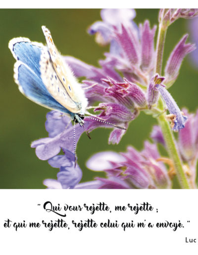 “Qui vous rejette, me rejette ; et qui me rejette, rejette celui qui m'a envoyé.” Luc 10, 16